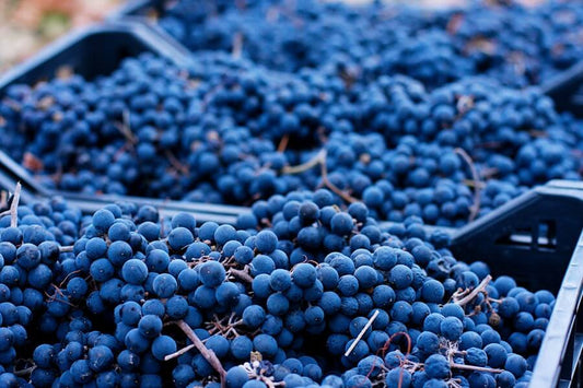 Unlocking the Secrets of Grape Skin: Why It's a Powerhouse of Goodness