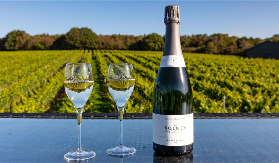 Bolney Vineyard: The Captivating Essence of English Winemaking