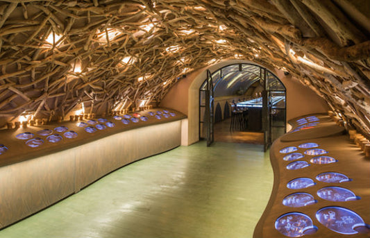 Beneath the City of Lights: Unveiling Paris' Largest Wine Cellar.